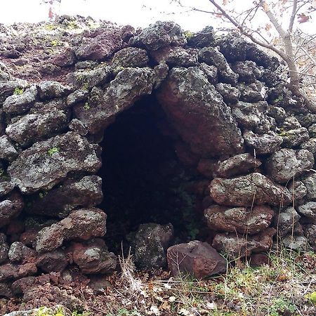 Вілла Oltre Il Giardino Педара Номер фото